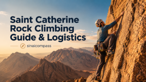 Saint Catherine rock climbing guide and logistics