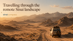 Travelling through the remote Sinai landscape
