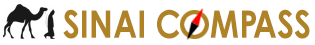 Sinai Compass
