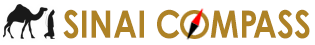 Sinai Compass