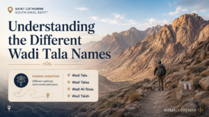 Best Time for Hiking Wadi Tala and Wadi Itlah