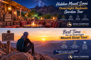 Best Time for an Overnight Mount Sinai Tour