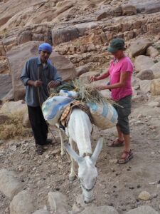 Climbing Mount Sinai