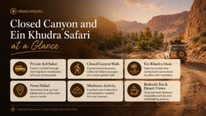 Closed Canyon and Ein Khudra Safari at a Glance