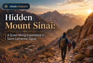 Hidden Mount Sinai