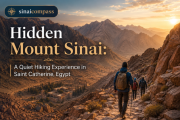 Hidden Mount Sinai