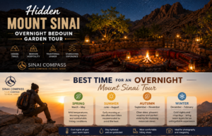 Hidden Mount Sinai Overnight Bedouin Garden Tour
