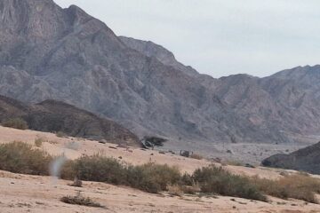 Overnight Sinai Desert Camping Tour from Dahab