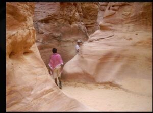 Possible Landscapes to Explore in South Sinai