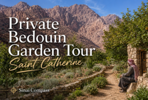 Private Bedouin Garden Tour Saint Catherine