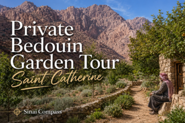 Private Bedouin Garden Tour Saint Catherine