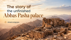 The story of the unfinished Abbas Pasha palace