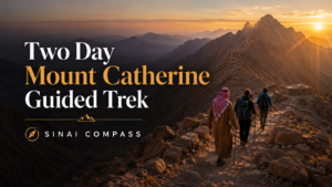Two Day Mount Catherine Guided Trek