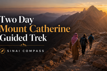 Two Day Mount Catherine Guided Trek