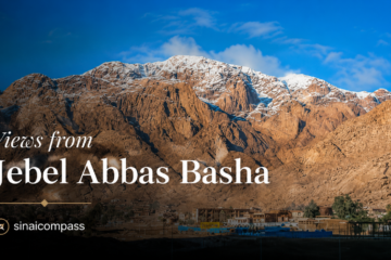 Views from Jebel Abbas Basha