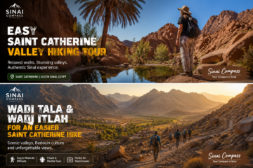 Wadi Tala and Wadi Itlah for an Easier Saint Catherine Hike