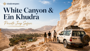White Canyon and Ein Khudra Private Jeep Safari
