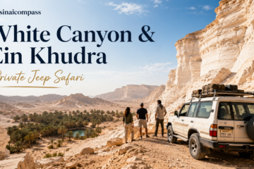 White Canyon and Ein Khudra Private Jeep Safari