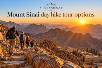 Mount Sinai day hike tour options