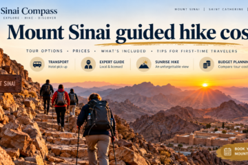 Mount Sinai guided hike cost