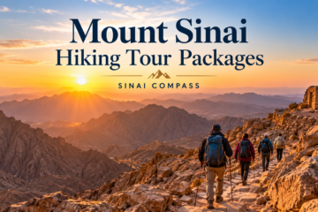 Mount Sinai hiking tour packages