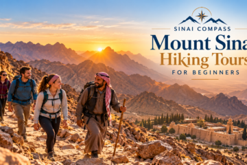 Mount Sinai hiking tours for beginners