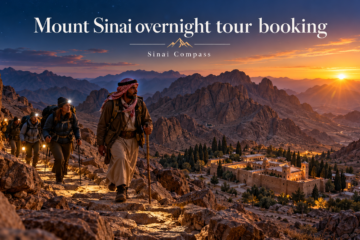 Mount Sinai overnight tour booking