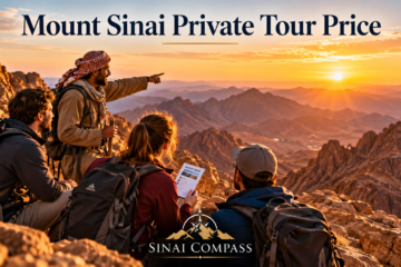 Mount Sinai private tour price