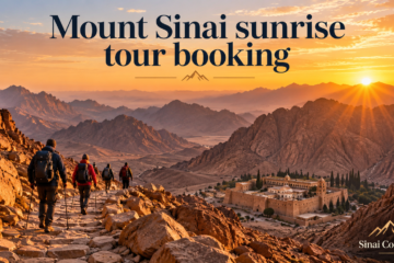 Mount Sinai sunrise tour booking