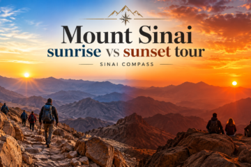 Mount Sinai sunrise vs sunset tour