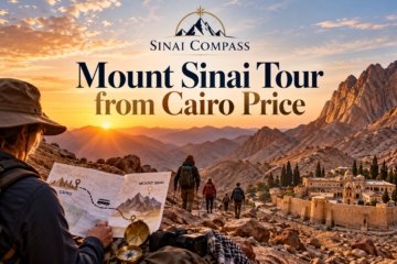 Mount Sinai tour from Cairo price