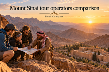 Mount Sinai tour operators comparison