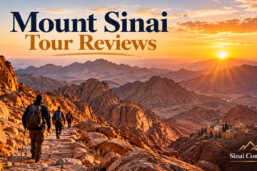 Mount Sinai tour reviews