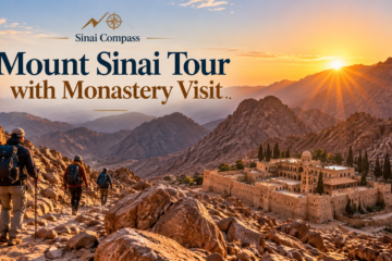 Mount Sinai tour with monastery visit