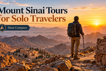 Mount Sinai tours for solo travelers