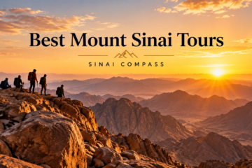best Mount Sinai tours