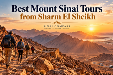 best Mount Sinai tours from Sharm El Sheikh