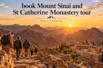 book Mount Sinai and St Catherine Monastery tour