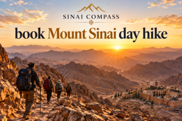 book Mount Sinai day hike