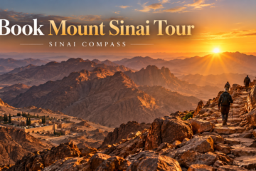 book Mount Sinai tour
