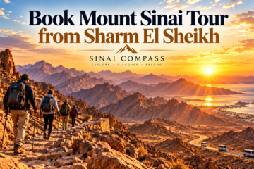 book Mount Sinai tour from Sharm El Sheikh