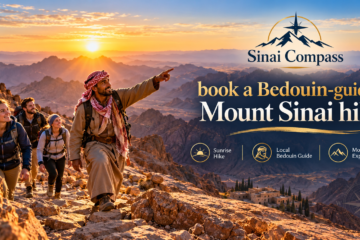 book a Bedouin-guided Mount Sinai hike