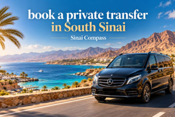 book a private transfer in South Sinai