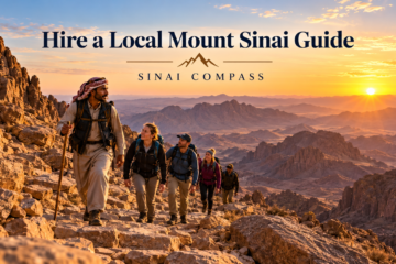 hire a local Mount Sinai guide