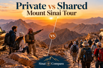private vs shared Mount Sinai tour